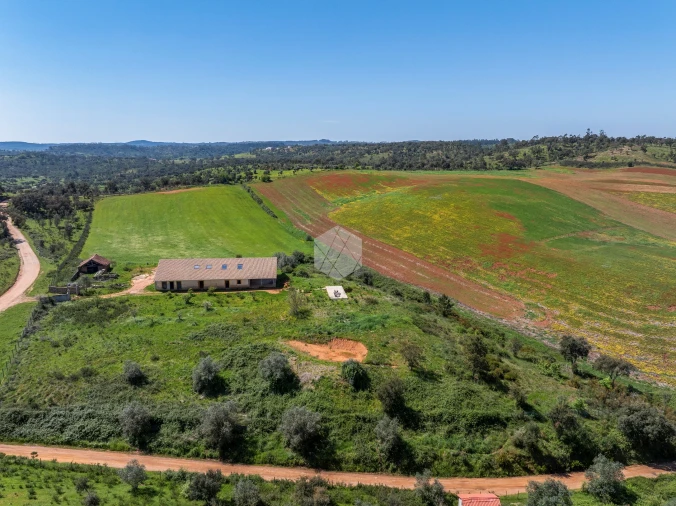 Quinta para Venda em Boavista dos Pinheiros Foto 37