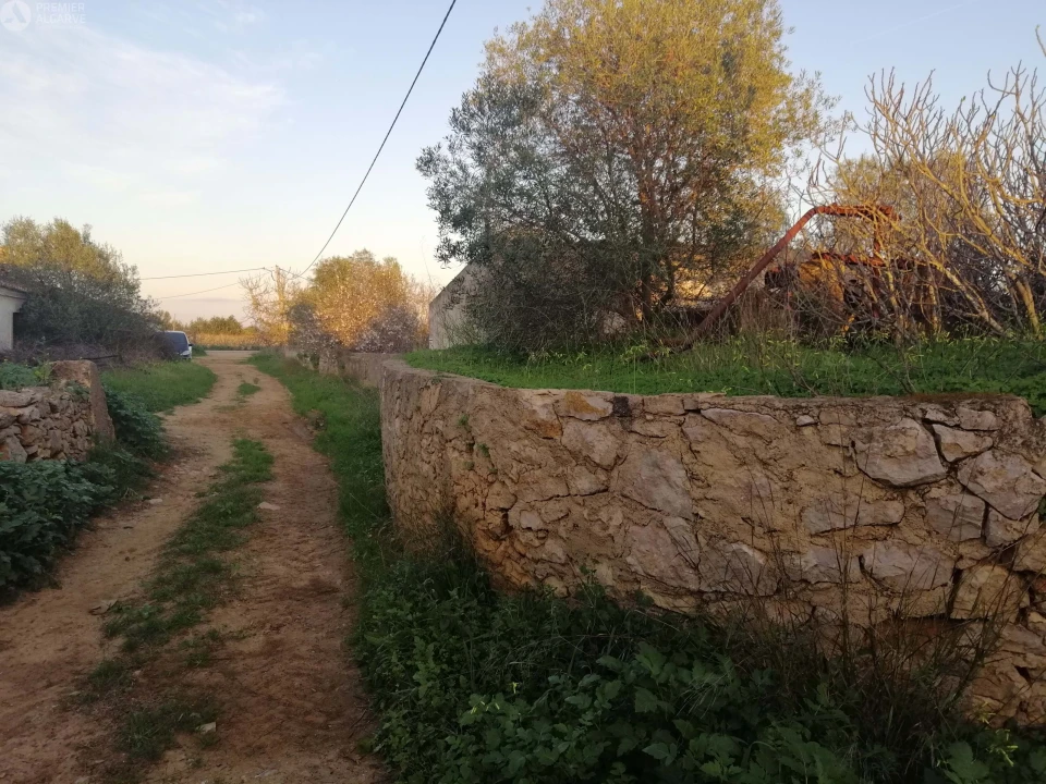 Terreno para Venda em Cachopo Foto 7