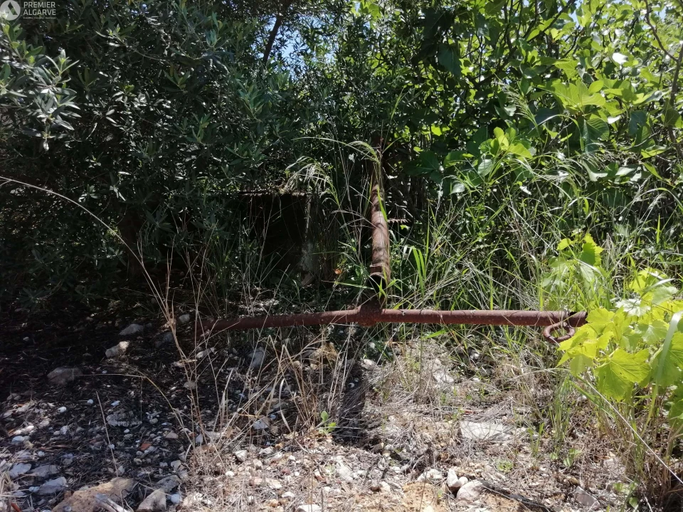 Terreno para Venda em Cachopo Foto 12