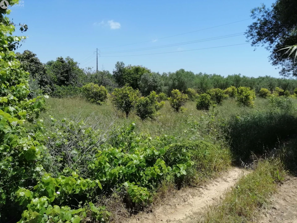 Terreno para Venda em Cachopo Foto 13