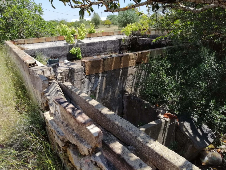 Terreno para Venda em Cachopo Foto 14