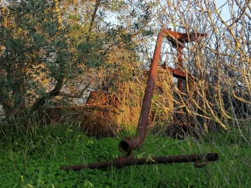 Terreno para Venda em Cachopo