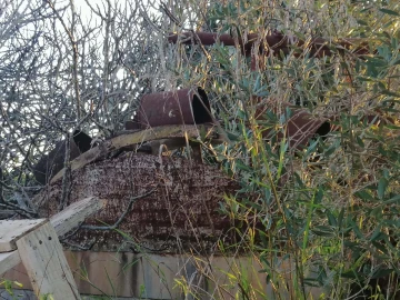 Terreno para Venda em Cachopo