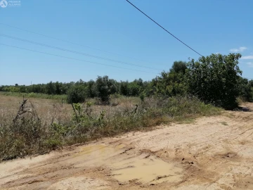 Terreno para Venda em Cachopo