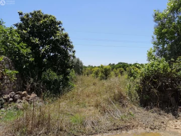 Terreno para Venda em Cachopo