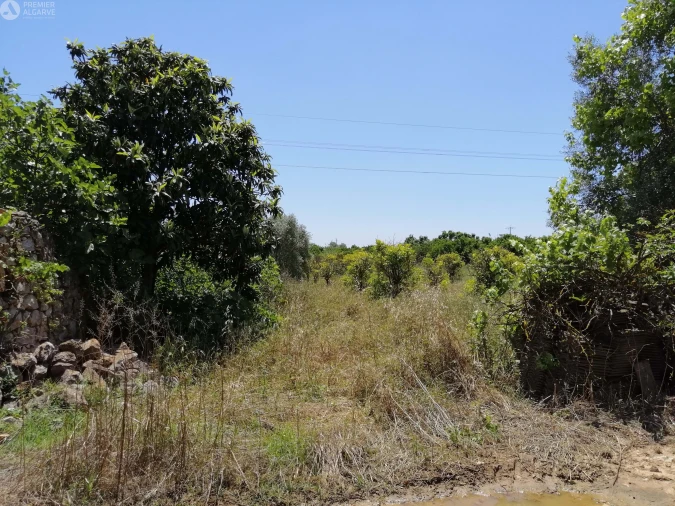 Terreno para Venda em Cachopo Foto 10