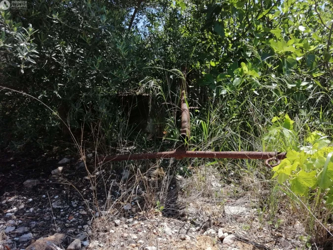 Terreno para Venda em Cachopo Foto 12