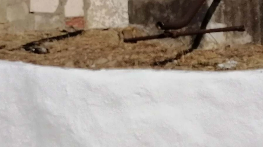 Terreno para Venda em Cachopo