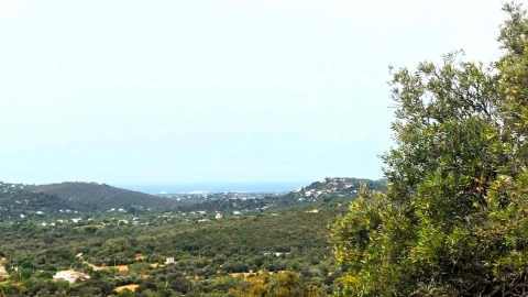 Terreno para Venda em Santa Barbara de Nexe