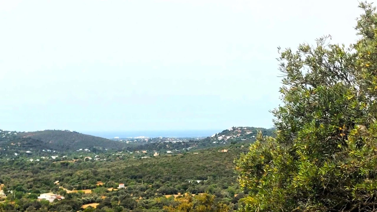 Terreno para Venda em Santa Barbara de Nexe Foto 2