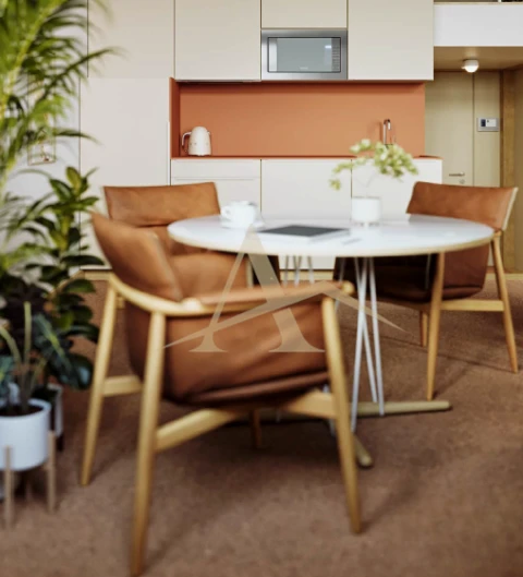 Apartamento T1 para Venda em Paranhos