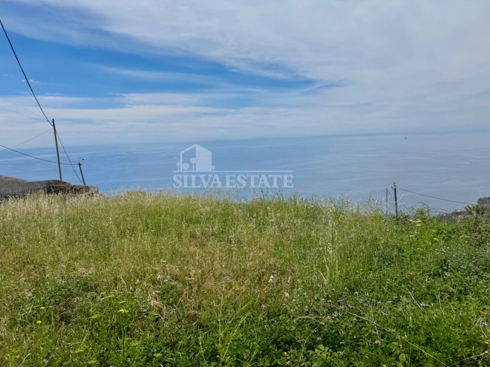 Terreno P/ Prédio para Venda em Ribeira Brava Foto 2