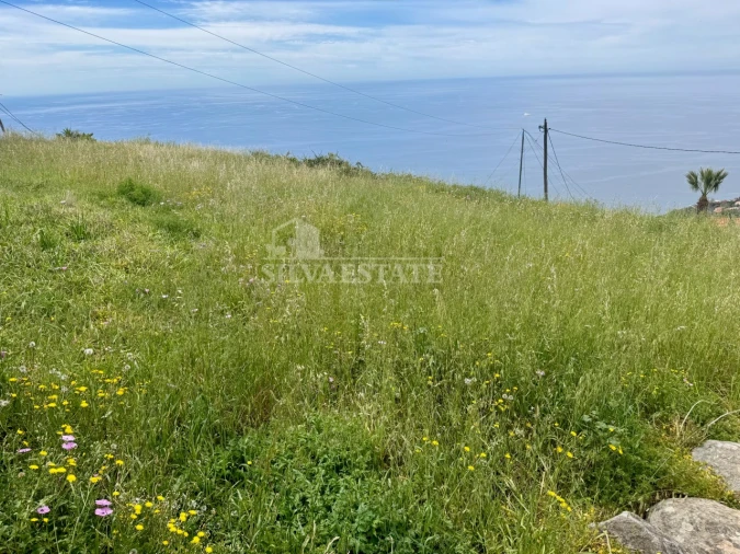 Terreno P/ Prédio para Venda em Ribeira Brava Foto 3