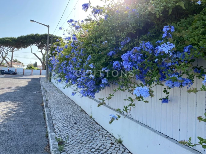 Moradia T5 para Venda em Cascais e Estoril Foto 43