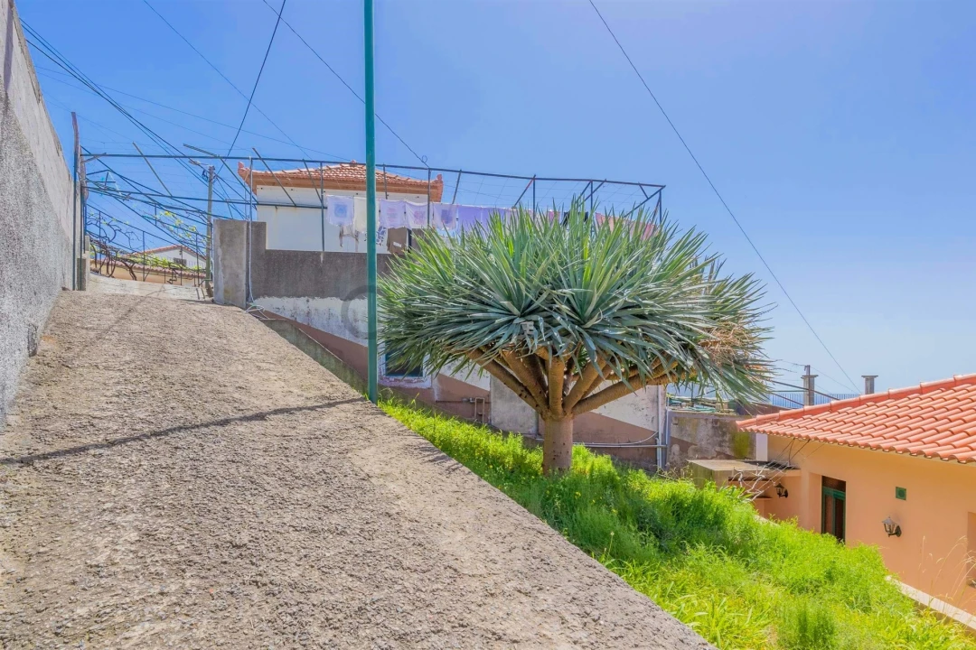 Moradia T3 para Venda em Estreito de Camara de Lobos Foto 21