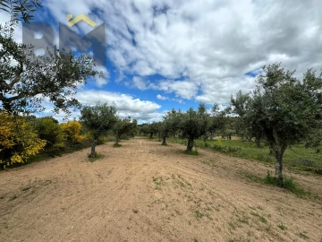 Terreno Agricola ou Rústico para Venda em Freixial e Juncal do Campo