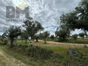 Terreno Agricola ou Rústico para Venda em Freixial e Juncal do Campo