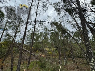 Terreno Agricola ou Rústico para Venda em Freixial e Juncal do Campo