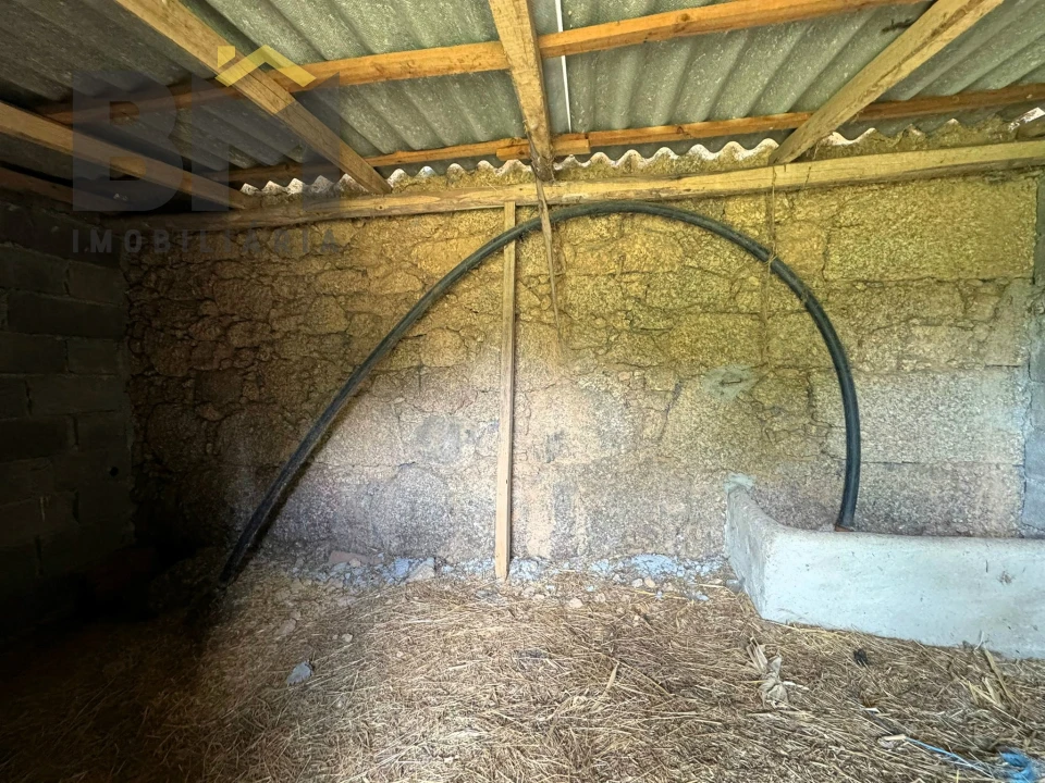 Terreno Agricola ou Rústico para Venda em Freixial e Juncal do Campo Foto 12