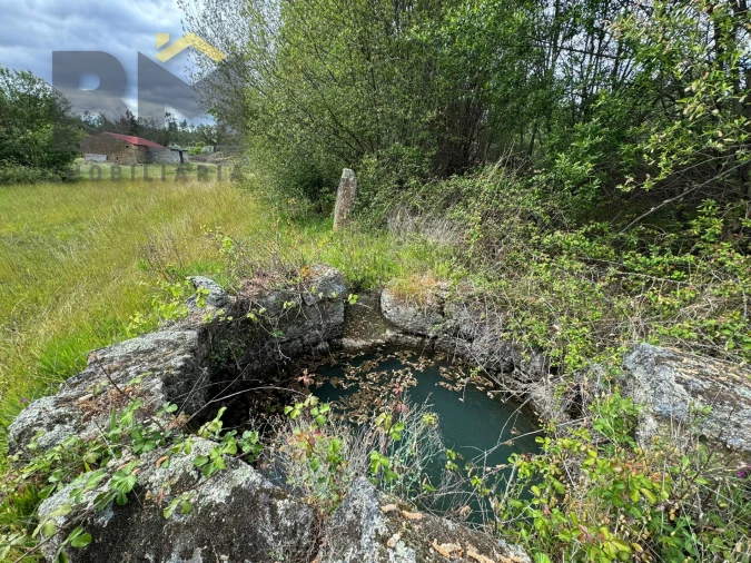 Terreno Agricola ou Rústico para Venda em Freixial e Juncal do Campo Foto 9