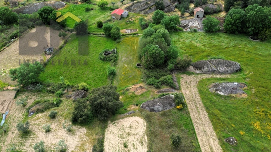 Terreno Agricola ou Rústico para Venda em Freixial e Juncal do Campo Foto 14