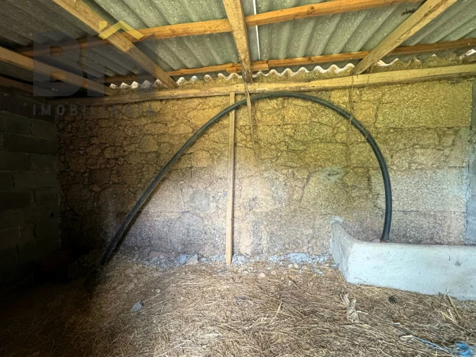 Terreno Agricola ou Rústico para Venda em Freixial e Juncal do Campo Foto 12