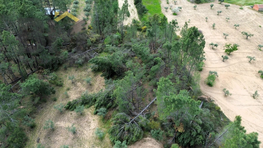 Terreno Agricola ou Rústico para Venda em Freixial e Juncal do Campo Foto 6