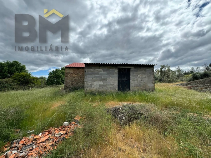 Terreno Agricola ou Rústico para Venda em Freixial e Juncal do Campo Foto 11