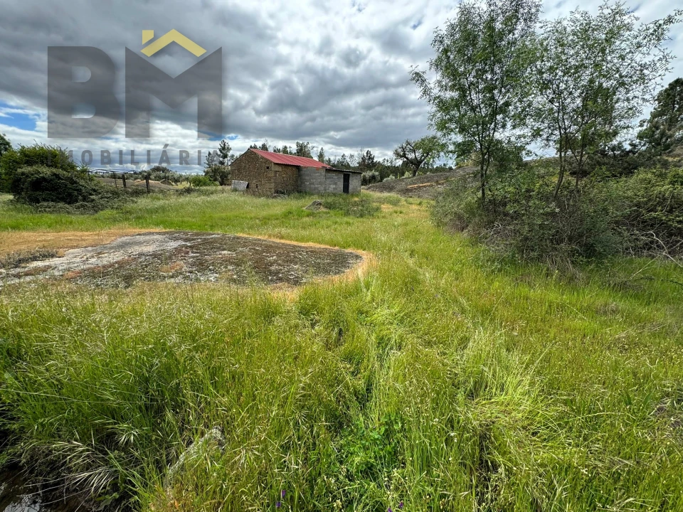 Terreno Agricola ou Rústico para Venda em Freixial e Juncal do Campo Foto 15