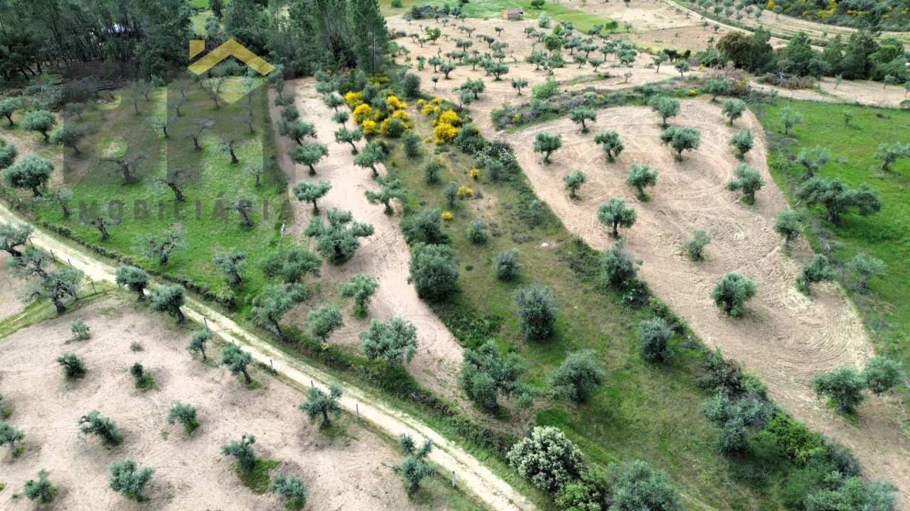 Terreno Agricola ou Rústico para Venda em Freixial e Juncal do Campo Foto 3