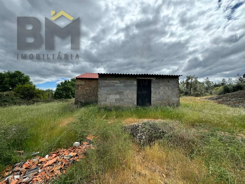 Terreno Agricola ou Rústico para Venda em Freixial e Juncal do Campo Foto 11