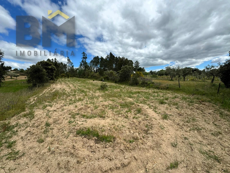 Terreno Agricola ou Rústico para Venda em Freixial e Juncal do Campo Foto 7
