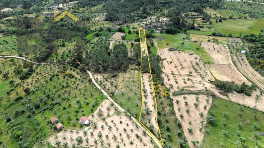 Terreno Agricola ou Rústico para Venda em Freixial e Juncal do Campo