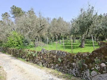 Moradia T2 para Venda em Algodres