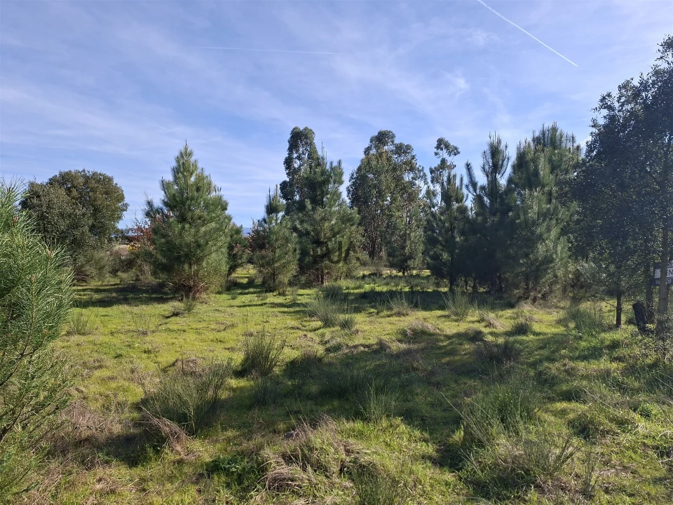 Quinta T0 para Venda em Espinho Foto 6