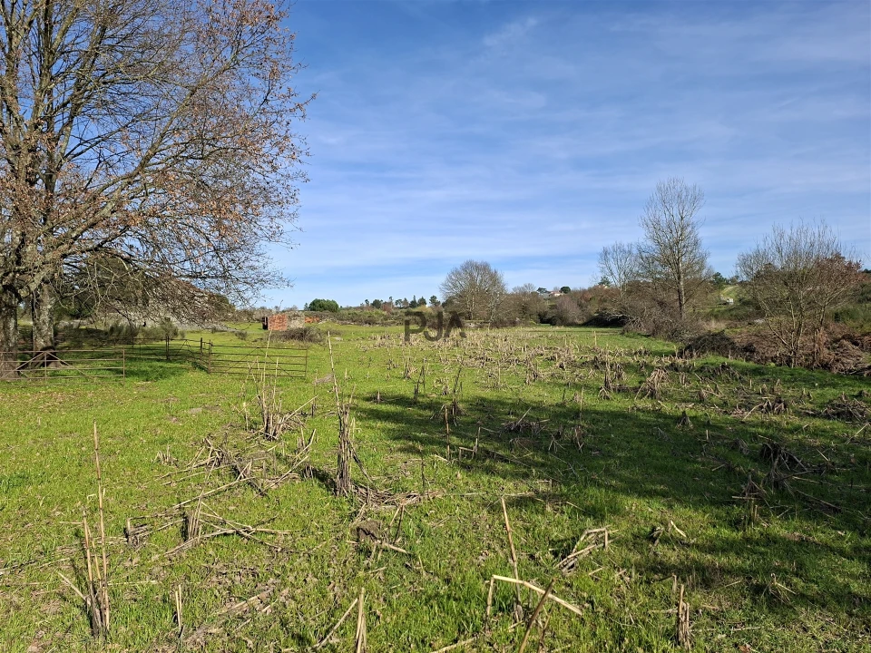 Quinta T0 para Venda em Espinho Foto 14