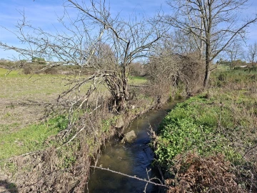 Quinta T0 para Venda em Espinho