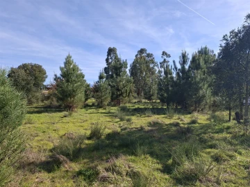 Quinta T0 para Venda em Espinho