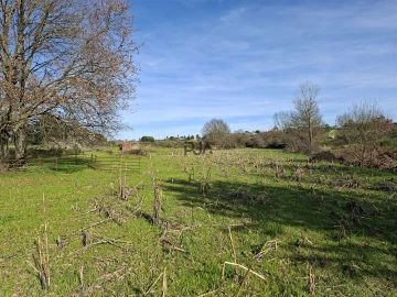 Quinta T0 para Venda em Espinho