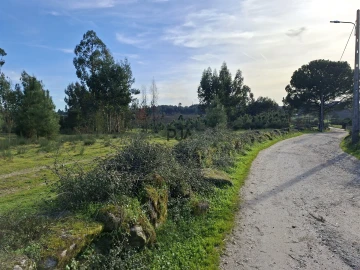 Quinta T0 para Venda em Espinho