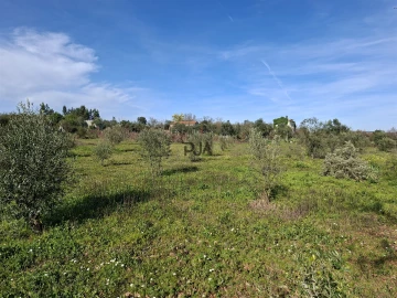 Quinta T0 para Venda em Espinho