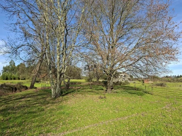 Quinta T0 para Venda em Espinho