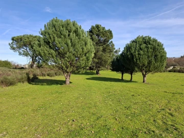 Quinta T0 para Venda em Espinho