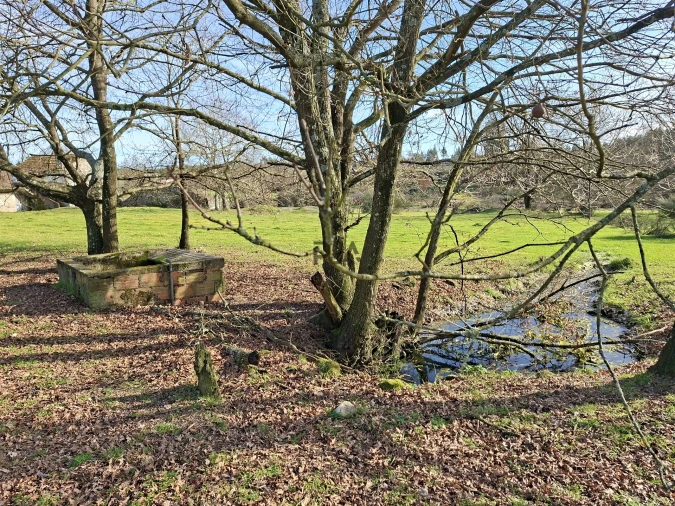 Quinta T0 para Venda em Espinho Foto 22