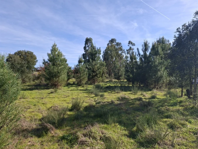 Quinta T0 para Venda em Espinho Foto 6