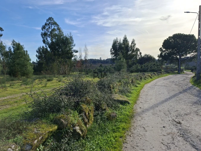 Quinta T0 para Venda em Espinho Foto 26