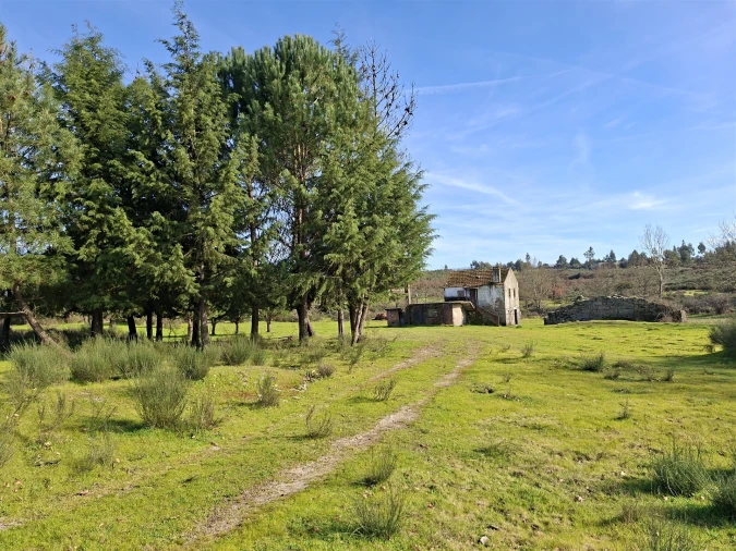 Quinta T0 para Venda em Espinho Foto 24