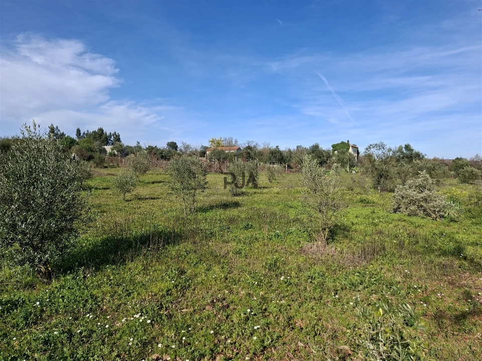 Quinta T0 para Venda em Espinho Foto 4