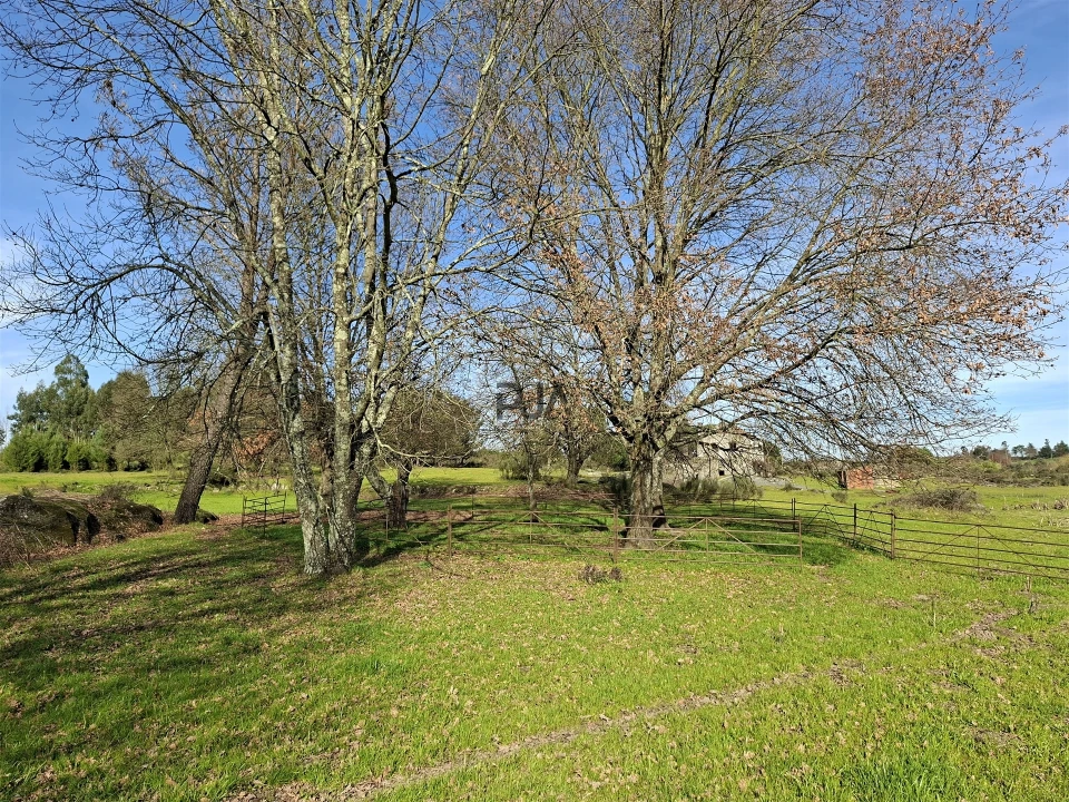 Quinta T0 para Venda em Espinho Foto 13