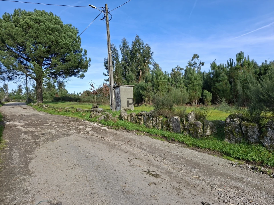 Quinta T0 para Venda em Espinho Foto 25
